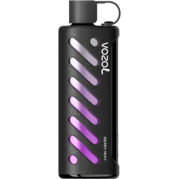 Vozol Shisha 25.000 Berry Mint