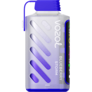 Vozol Gear Power 20.000 Blueberry Storm