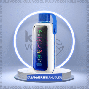 Vozol Star 20.000 Blueberry Storm