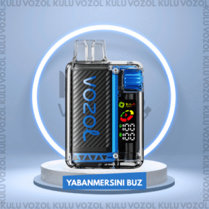 Vozol Vista 20.000 Bluerazz Ice